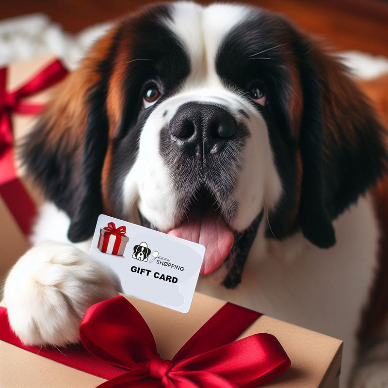 Geschenkgutschein von JessySHOPPING.com