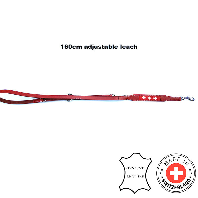 Laisse Suisse en cuir 160 cm