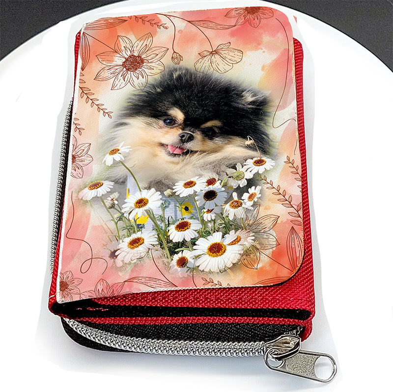 Pomeranian Hund -Geldbörse