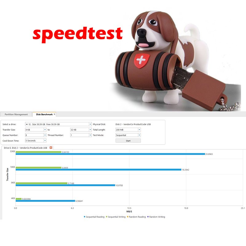 Flash Drive Saint Bernard 64Go - USB2.0