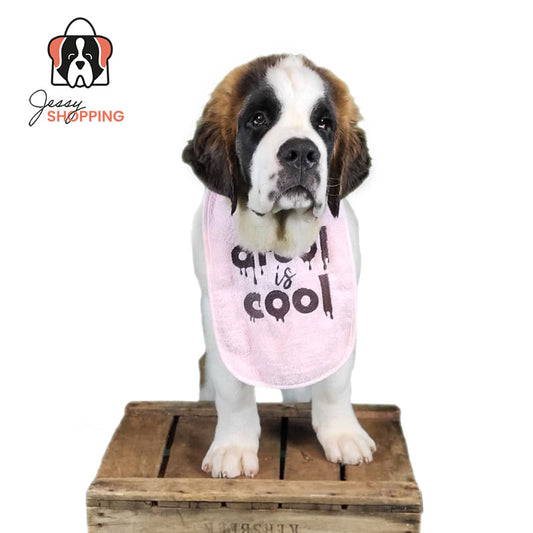 Puppy Bib "Drool is Cool"