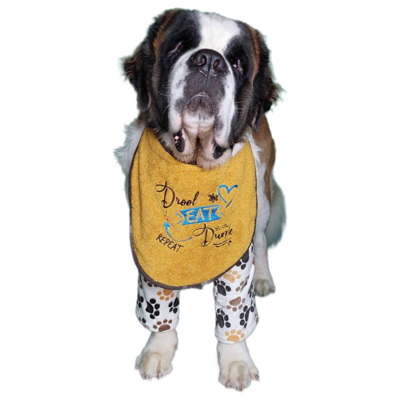 « Ensemble de bavoirs (bleu) et de manches « Drool Eat Drink Repeat