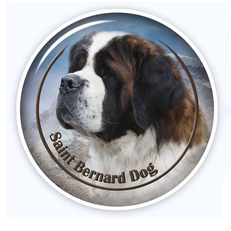 Verwijderbare Decal Sint Bernard Hond