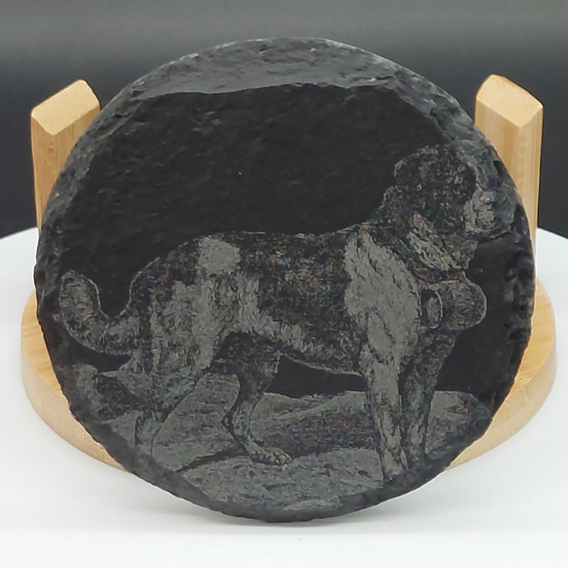 Black slate St.Bernard glass coasters