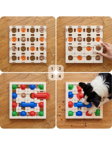 Snap Track Plus Pack - PetDreamHouse
