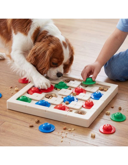 Snap Track Round Slider - PetDreamHouse
