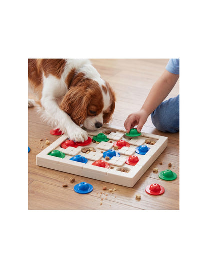 Snap Track Starter Pack - PetDreamHouse